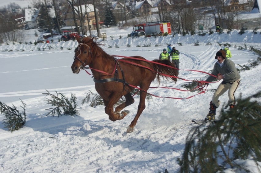 Kumoterki Zakopane 2018