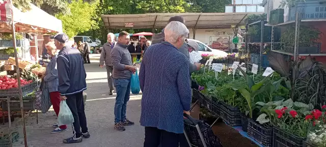 Słoneczny dzień targowy w Jędrzejowie. Zobacz na kolejnych slajdach, jakie były ceny warzyw i owoców w czwartek, 9 maja