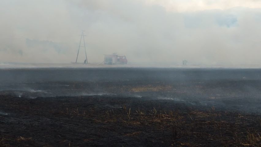 W Darskowie (gmina Malechowo) płonęło niewielkie pole. Do...