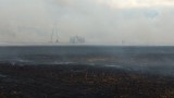 Pożar ścierniska w gminie Malechowo. Zdjęcia Internautki