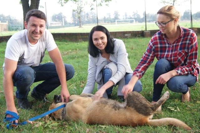 Piknik rodzinny, który odbędzie się na grodkowskim Rynku w niedzielę 12 października.