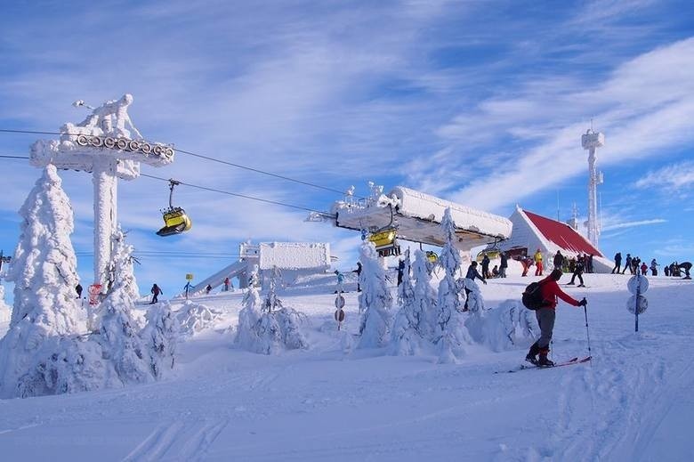 Stoki narciarskie zimą jednak otwarte: Obostrzenia ostrzejsze niż w galerii handlowej. Ale na stokach będzie pusto. 1 narciarz na 100 m kw. 