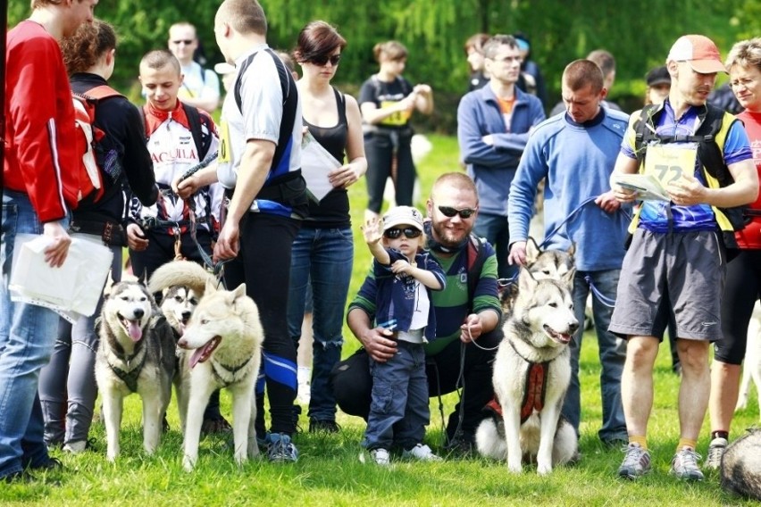 Jelenia Góra: W Przesiece odbyła się trzecia edycja Pucharu Polski w Dogtrekkingu