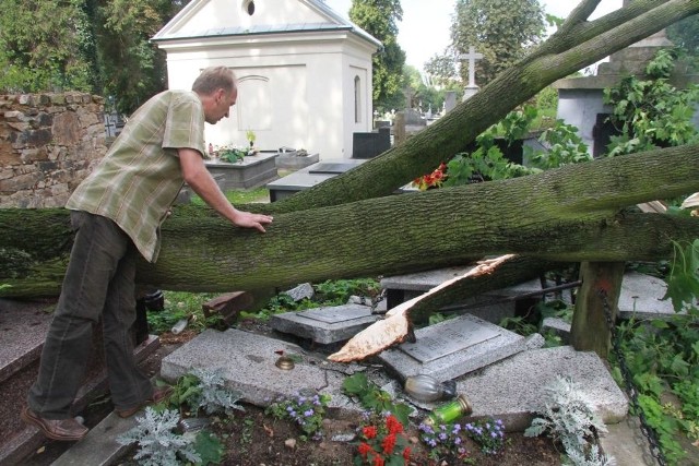 Stanisław Manecki, zastępca kierownika Zarządu Cmentarzy Katolickich w Kielcach pokazuje jeden ze zniszczonych przez wichurę grobów.  
