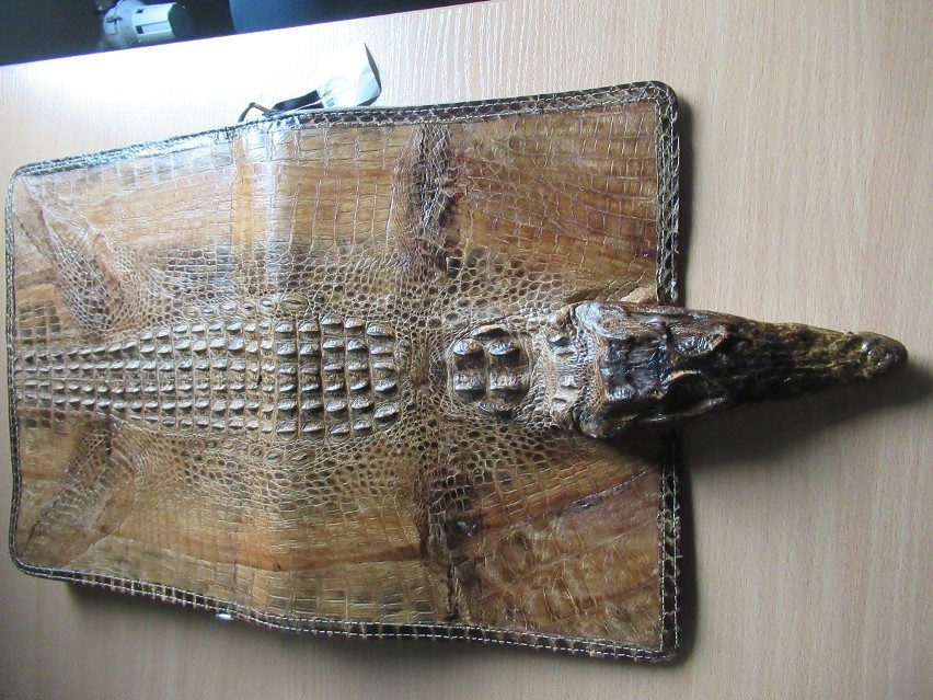 Torbę wykonana ze skóry chronionego gatunku krokodyla...