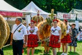 Dożynki gminne i pożegnanie lata w Namysłowie. Nie brakowało atrakcji, mieszkańcy licznie wzięli udział w zabawie [ZDJĘCIA]