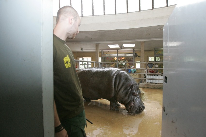 Śląski Ogród Zoologiczny od kuchni