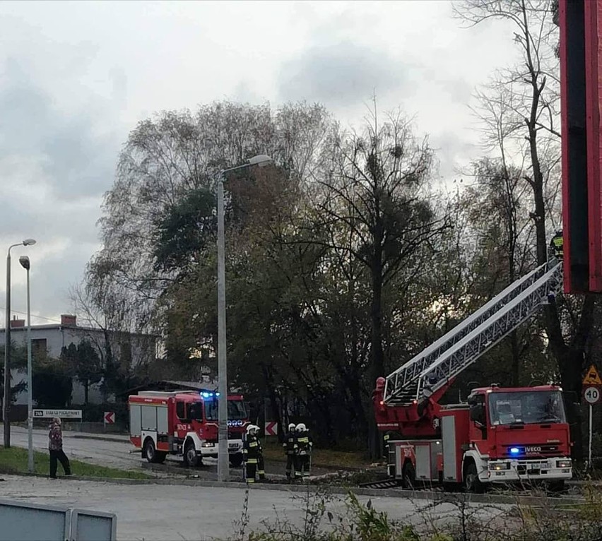 Orkan Grzegorz w Rybniku łamał drzewa, latarnie i słupy...
