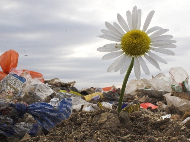 Na projekty, które związane są z ochroną środowiska, budową dróg, energetyką, gospodarką niskoemisyjną, ochroną zdrowia oraz dziedzictwem kulturowym wydamy 27,41 mld euro.