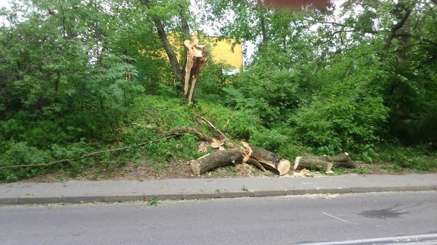 Silny wiatr w powiecie rybnickim. Ponad 24 interwencje straży pożarnej! 