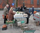 Na inowrocławskim Targowisku Miejskim czuć już powiew wiosny