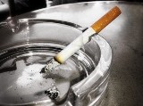 Pięć "stówek" za zapalenie papieroska w tarnobrzeskiej hali 