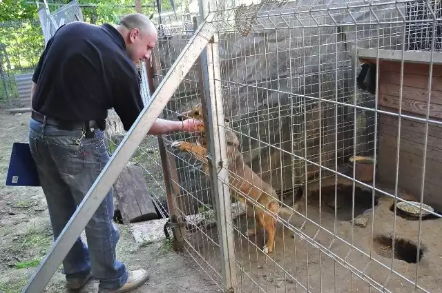 Marcin Kułagowski, szef stowarzyszenia, wkłada wiele serca w opiekę nad zwierzętami.