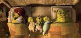 "Shrek Forever" w kinie Centrum w Skarżysku i darmowe seanse dla dzieci w skarżyskim Centrum Kultury 