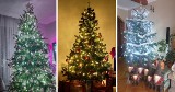 Choinki w domach Czytelników "Dziennika Bałtyckiego". Zobaczcie wyjątkowe zdjęcia świątecznych drzewek! 