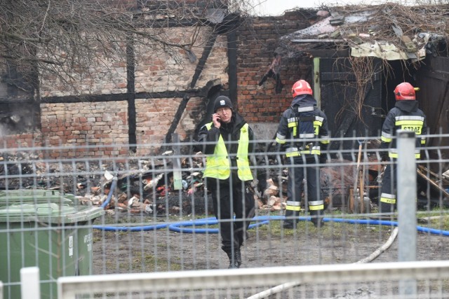 Bezdomny mężczyzna poniósł śmierć w pożarze przybudówki z pruskiego muru przy ul. Granicznej 5 w Toruniu.Płomienie zauważono w godzinach przedpołudniowych, na miejscu błyskawicznie pojawili się ratownicy z Komendy Miejskiej Państwowej Straży Pożarnej w Toruniu. Palił się budynek gospodarczy, właściwie zbudowana z pruskiego muru przybudówka kryta drewnianym dachem.Zobacz także: Tych gwałcicieli szuka cała Polska! Rozpoznajesz kogoś? [LISTY GOŃCZE]- Gdy strażacy dodarli na miejsce, pożar był już bardzo rozwinięty – informuje bryg. Andrzej Seroczyński z Komendy Miejskiej Państwowej Straży Pożarnej w Toruniu. - W trakcie prowadzenia działań ratowniczo-gaśniczych ściany i dach tej przybudówki runęły. W wnętrzu komórki o powierzchni ok. 10 mkw. zginął bezdomny mężczyzna. Jego ciało strażacy odnaleźli podczas odgruzowywania.Policjanci ustalają tożsamość ofiary. Na dzisiaj zaplanowane są oględziny z udziałem biegłego z zakresu pożarnictwa. Jego opinia przybliży ewentualne przyczyny powstania ognia.Pożar przy ul. Granicznej w Toruniu. Nie żyje jedna osoba [ZDJĘCIA]NowosciTorun