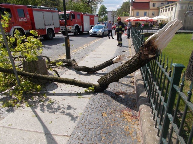 W niedzielę (8 maja) ok. godz. 15.00 na idącą chodnikiem kobietę spadł gruby konar drzewa. Ranną zabrało pogotowie na szpitalny oddział ratunkowy w Żarach.34-letnia kobieta szła ze swoim czteroletnim synem. Na szczęście dziecku nic się nie stało. - Zostało przekazane pod opiekę babci - informuje podinspektor Sylwia Woroniec oficer prasowy żagańskiej policji. Tragiczna śmierć w lesie. Drzewo przygniotło pilarza