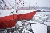 Ustecki port skuty lodem jak za dawnych lat. Zobacz piękne zimowe oblicze Ustki (zdjęcia)