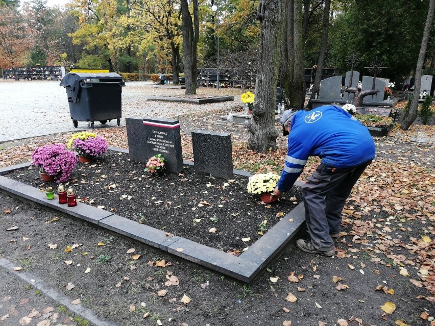 Zakład Komunalny w Opolu odkupuje chryzantemy przy cmentarzu...