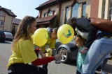 Pola Nadziei 2017 w Kartuzach. Zbierają dla hospicjum [ZDJĘCIA, WIDEO]