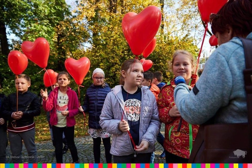 2,5 tysiąca czerwonych tulipanów zasadzono w poniedziałek w...