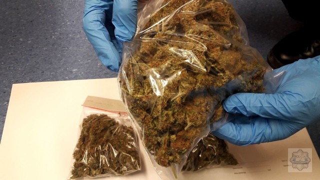 W Prudniku policjanci w mieszkaniu 27-latka znaleźli 160 gramów marihuany