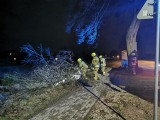 Strażacy walczą z wichurą na Wybrzeżu. Trudna noc w powiecie słupskim. Porywy wiatru osiągały 120 km/h 