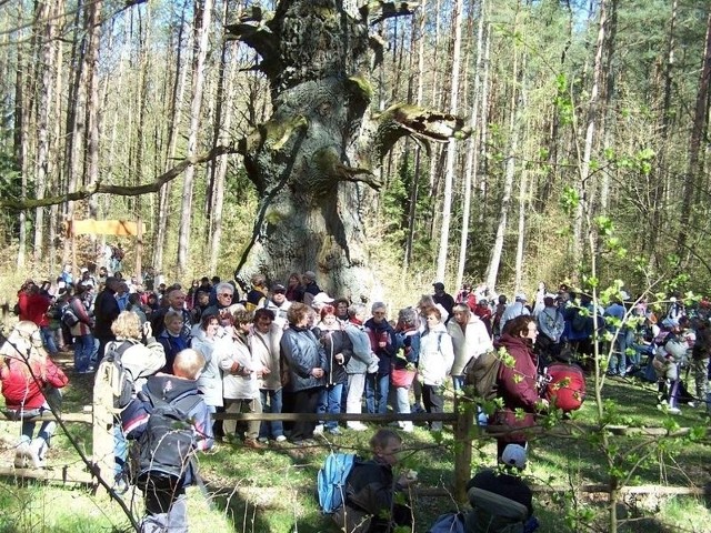 Ostatnio w okolicach Lęborka uczestnicy imprezy z Głosem Pomorza w Plener zwiedzili m.in. rejon Cewic.