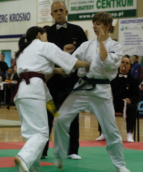 Karate Kyokushin...