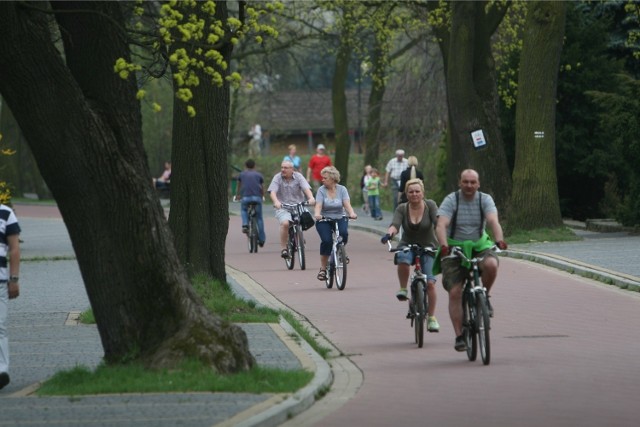 Park Śląski