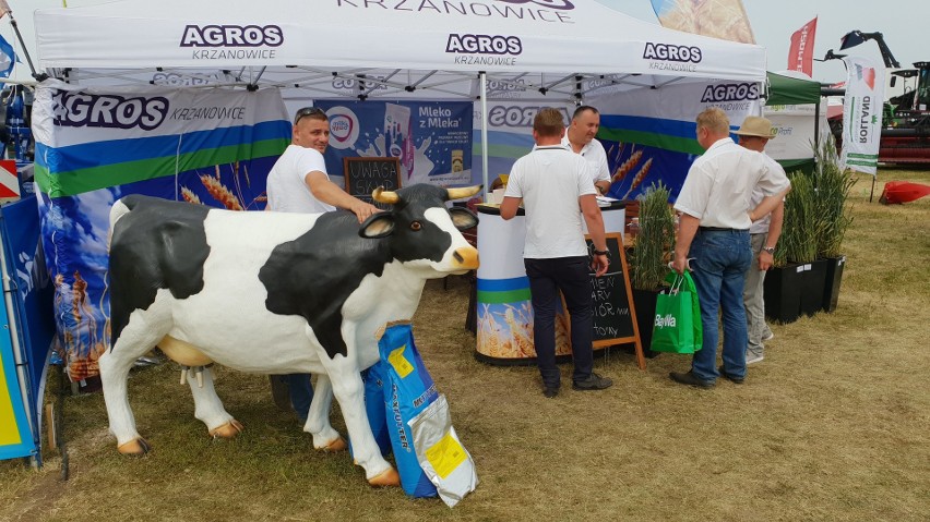 Opolagra 2019. Rolnicze cuda techniki w Kamieniu Śląskim. Zobacz najlepsze maszyny rolnicze