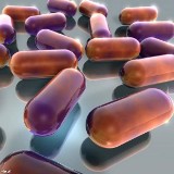 Bakterie uodparniają się na antybiotyki