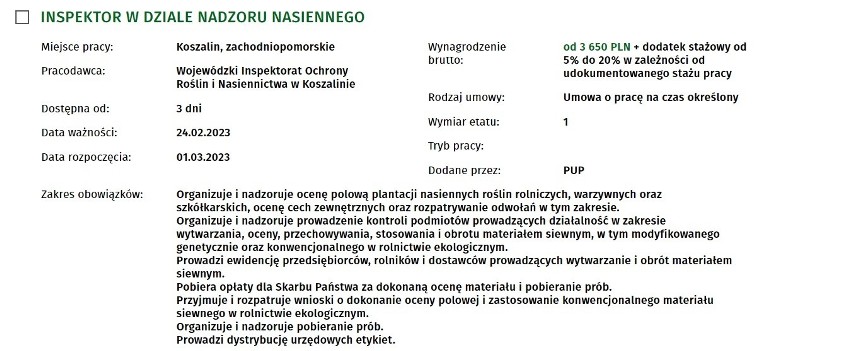 Najnowsze oferty pracy z Koszalina i regionu. Sprawdź, kogo...