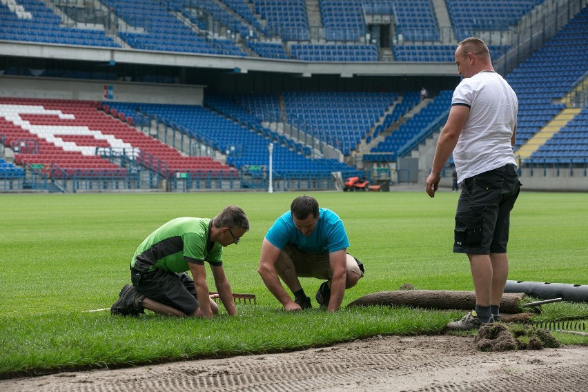 Stadion Wisły. Nowa murawa czeka na reprezentację [WIDEO, ZDJĘCIA]