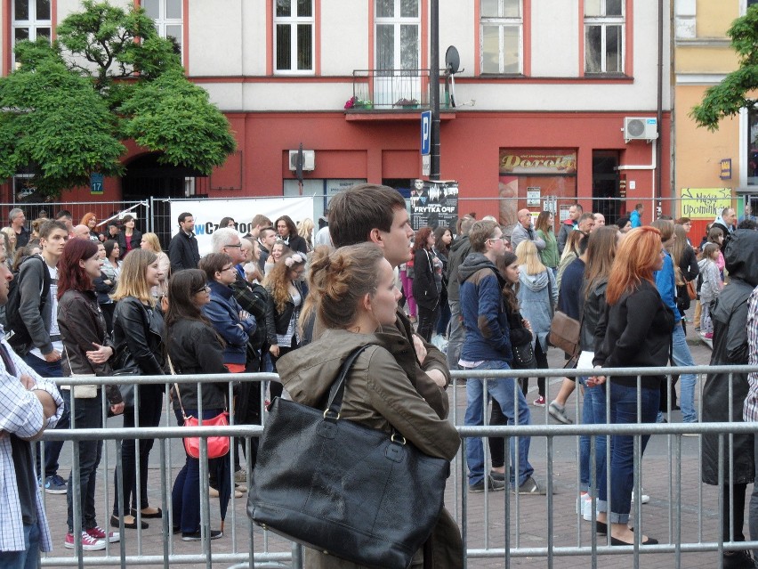 Festiwal Frytka OFF zakończony zobacz ZDJĘCIA