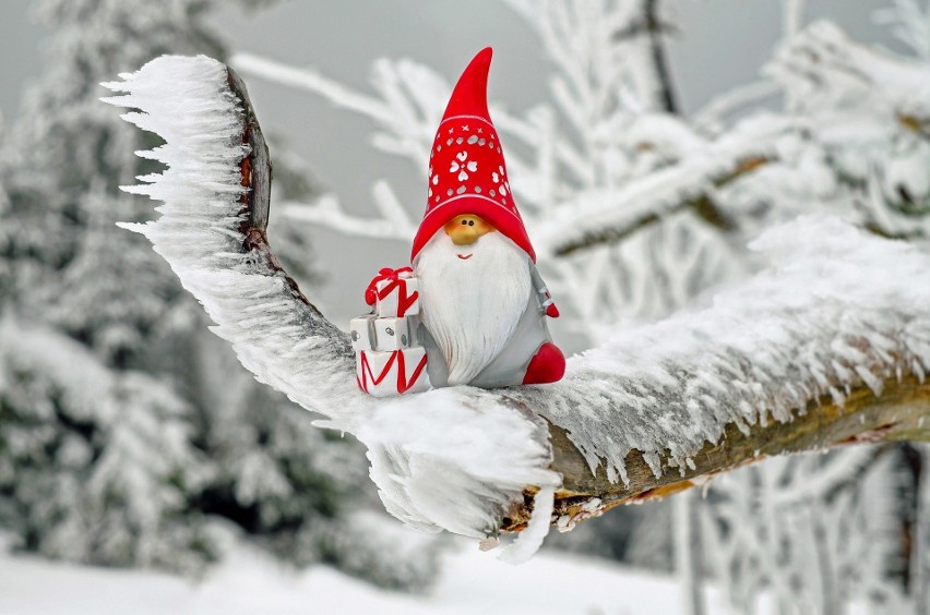 Piękne zimowe zdjęcia z Sielpi, Końskich, Stąporkowa, Radoszyc i nie tylko. Zobacz klimatyczne i zachwycające zdjęcia z Instagrama