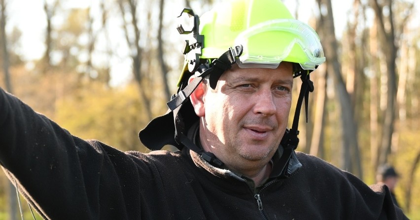 Palił się sosnowy las na terenie Nadleśnictwa Rzepin. Katastrofie zapobiegł pilot samolotu gaśniczego