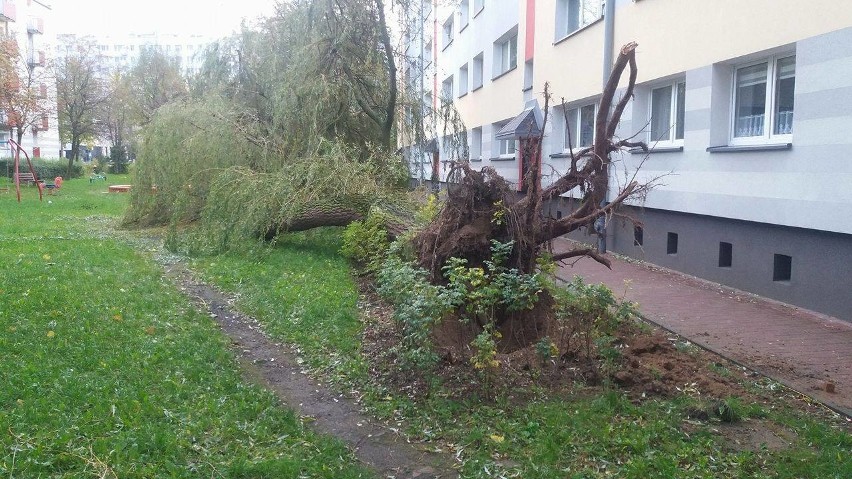 Orkan Ksawery w woj. śląskim: trzy osoby ranne, ponad 40 uszkodzonych domów ZDJĘCIA+RAPORT