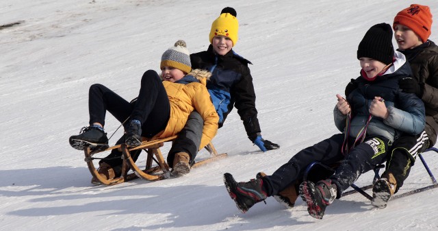 Dzieci i młodzież wykorzystują ostatnie podrygi zimy na stoku w Osadzie GRUD na osiedlu Strzemięcin w Grudziądzu, bo prognozy wieszczą odwilż.