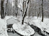Zimowy Park Zielona w Dąbrowie Górniczej wygląda wyjątkowo. Pod białym puchem bóbr, jezioro, ławki i mostki  