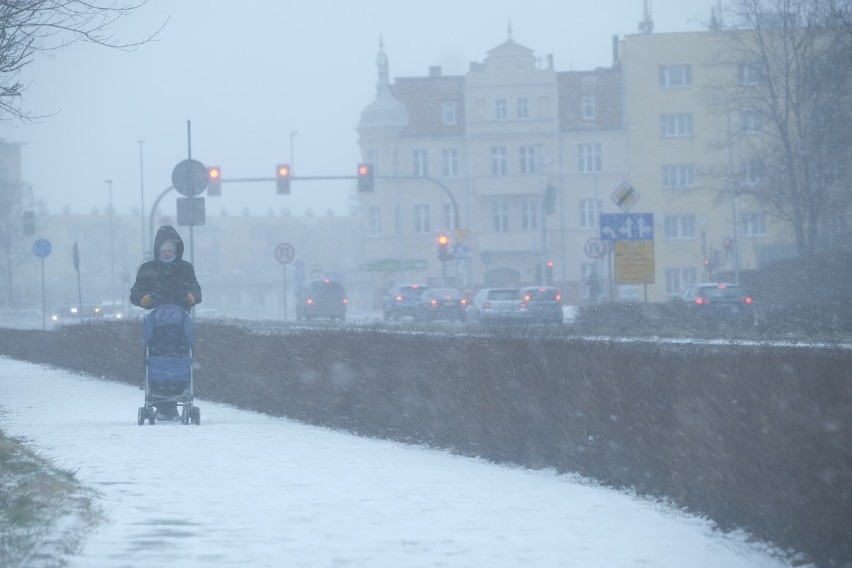 Śnieżyca w Toruniu