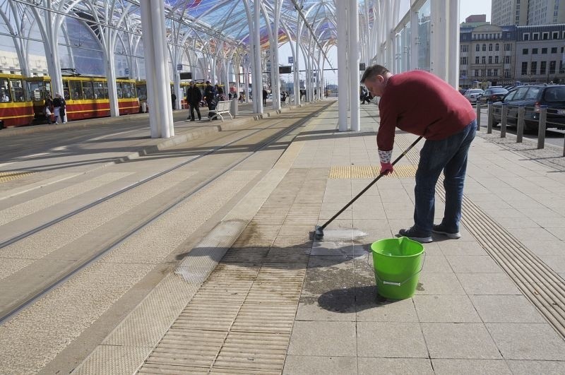 Ryżową szczotką i płynem do naczyń MYLIŚMY nową wizytówkę Łodzi, która zarasta brudem [zdjęcia]