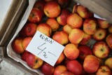 Podsumowanie 2023 r. na rynku owoców. Zbiory były mniejsze, królują jabłka, przybywa czereśni i śliwek
