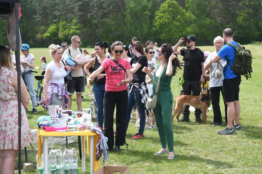 "Piknik" to wydarzenie organizowane przez Schronisko dla...