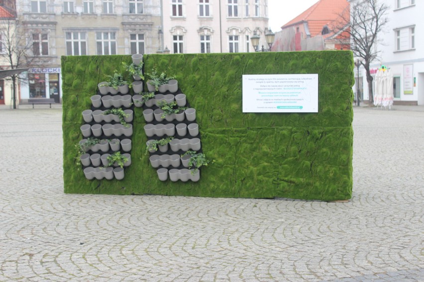 Zielona ściana stanęła na rynku w Tarnowskich Górach. Chodzi...