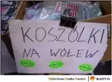 Memy o języku polskim rozbawiły do łez niejednego internautę. Zobacz popularne grafiki z okazji Międzynarodowego Dnia Języka Ojczystego