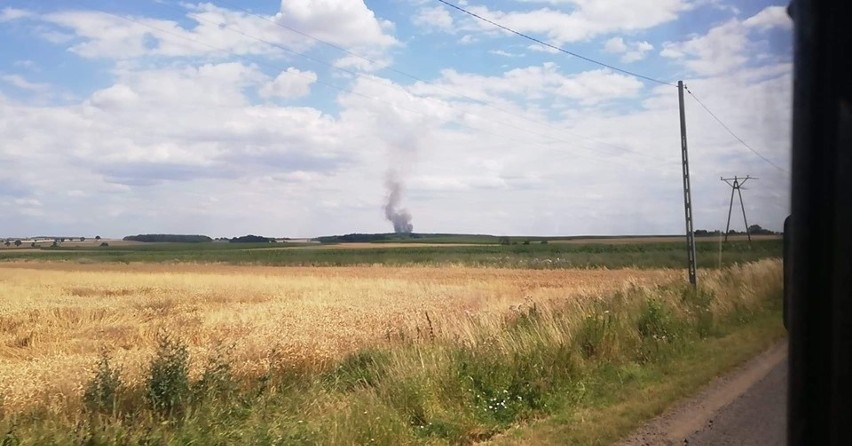 Potężny pożar zboża. Spłonęło 12 hektarów [ZDJĘCIA]