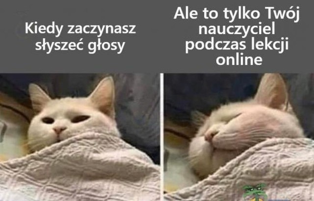 Czy już na dobre żegnamy nauczanie online? W poniedziałek 30 maja wszyscy uczniowie szkół podstawowych i średnich spotkają się razem na lekcjach. To był dziwny rok dla uczniów i rodziców. Wybraliśmy dla Was najlepsze memy na temat nauczania zdalnego.Na następnych zdjęciach kolejne memy na temat zdalnego nauczania. Aby przejść do galerii, przesuń zdjęcie gestem lub naciśnij strzałkę w prawo.