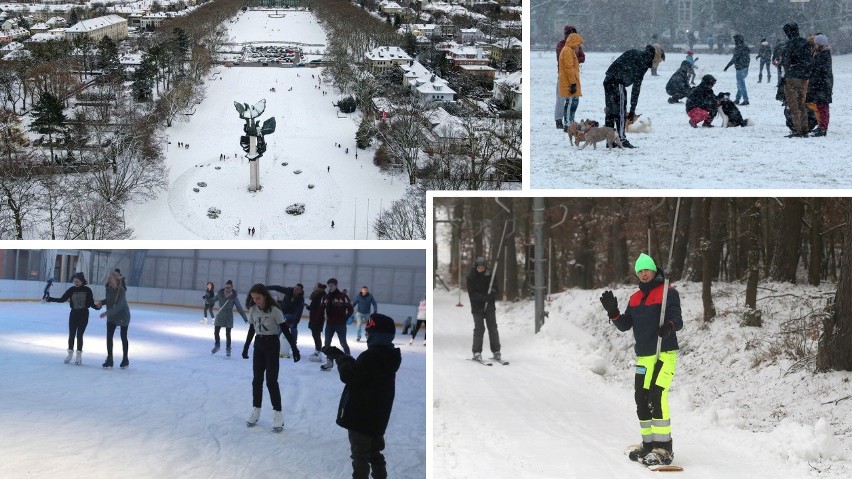 Zimowe atrakcje w Szczecinie. Gdzie iść na łyżwy, sanki i