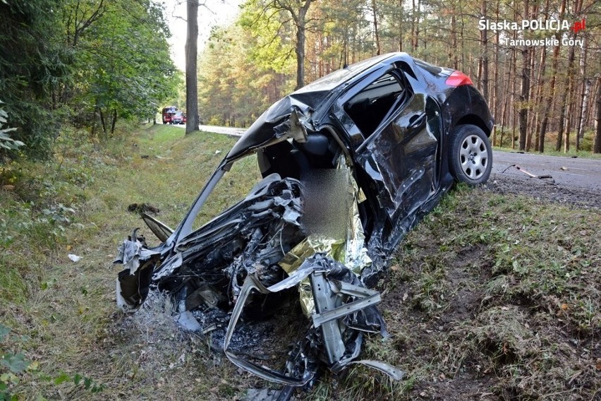 Peugeot wypadł z drogi, 51-latek zginął na miejscu